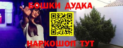 соль ск Аргун