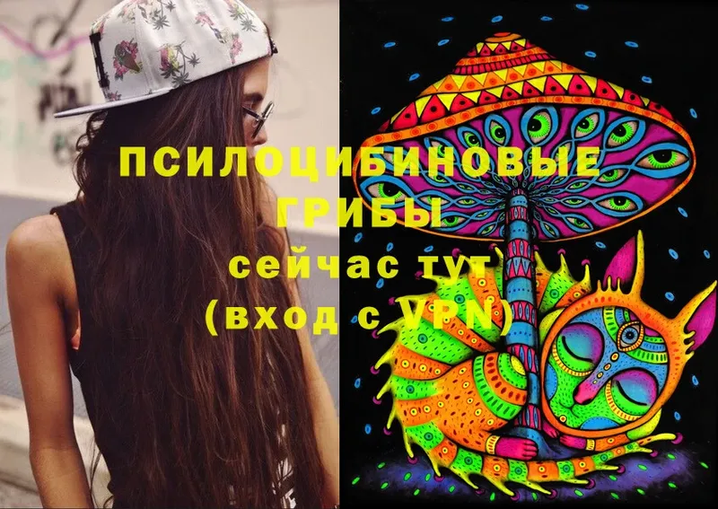 Псилоцибиновые грибы Cubensis Батайск