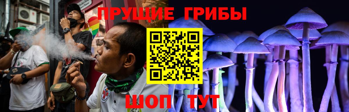 Псилоцибиновые грибы Psilocybe  Вход с VPN  Батайск 